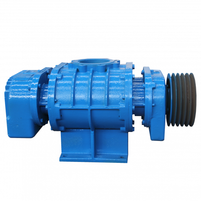 Wide Range Pressure EAC Roots Blower Vacuum Pump