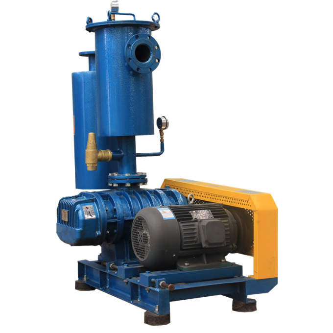 40KP Motor Driven Rotary 3kw Vacuum Roots Rotary Lobe Blower