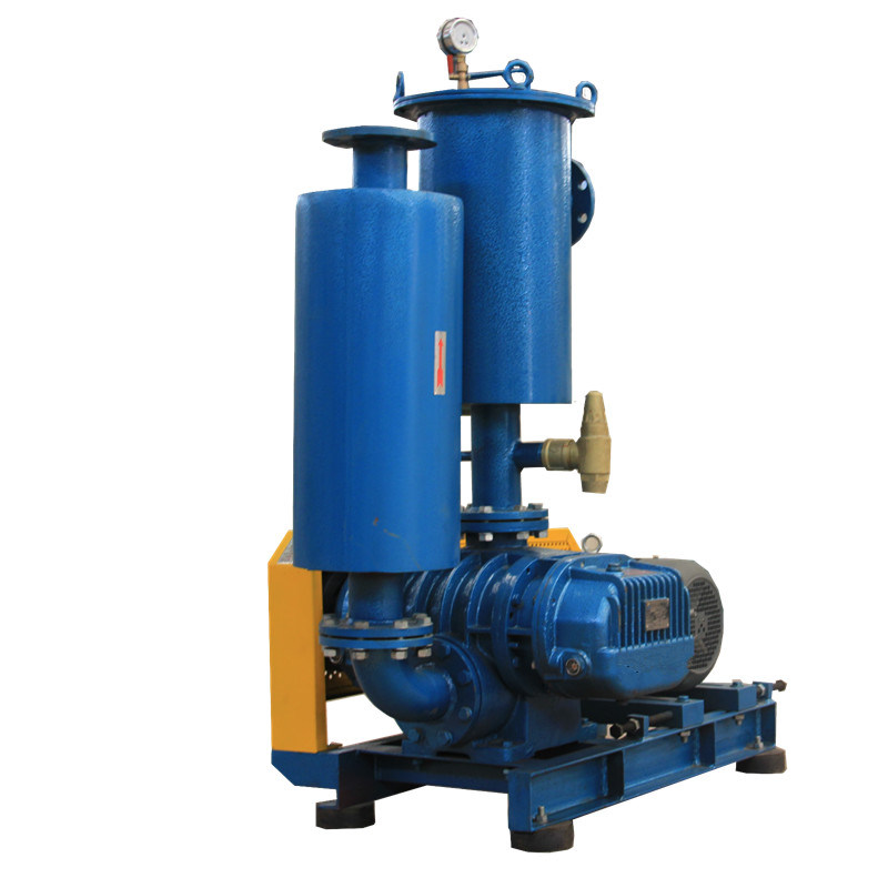 Aquaculture Roots Blower Vacuum Pump For Sewage Treatment